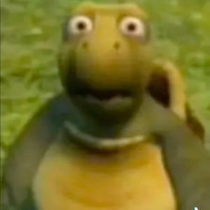 Meet your Posher, Martin